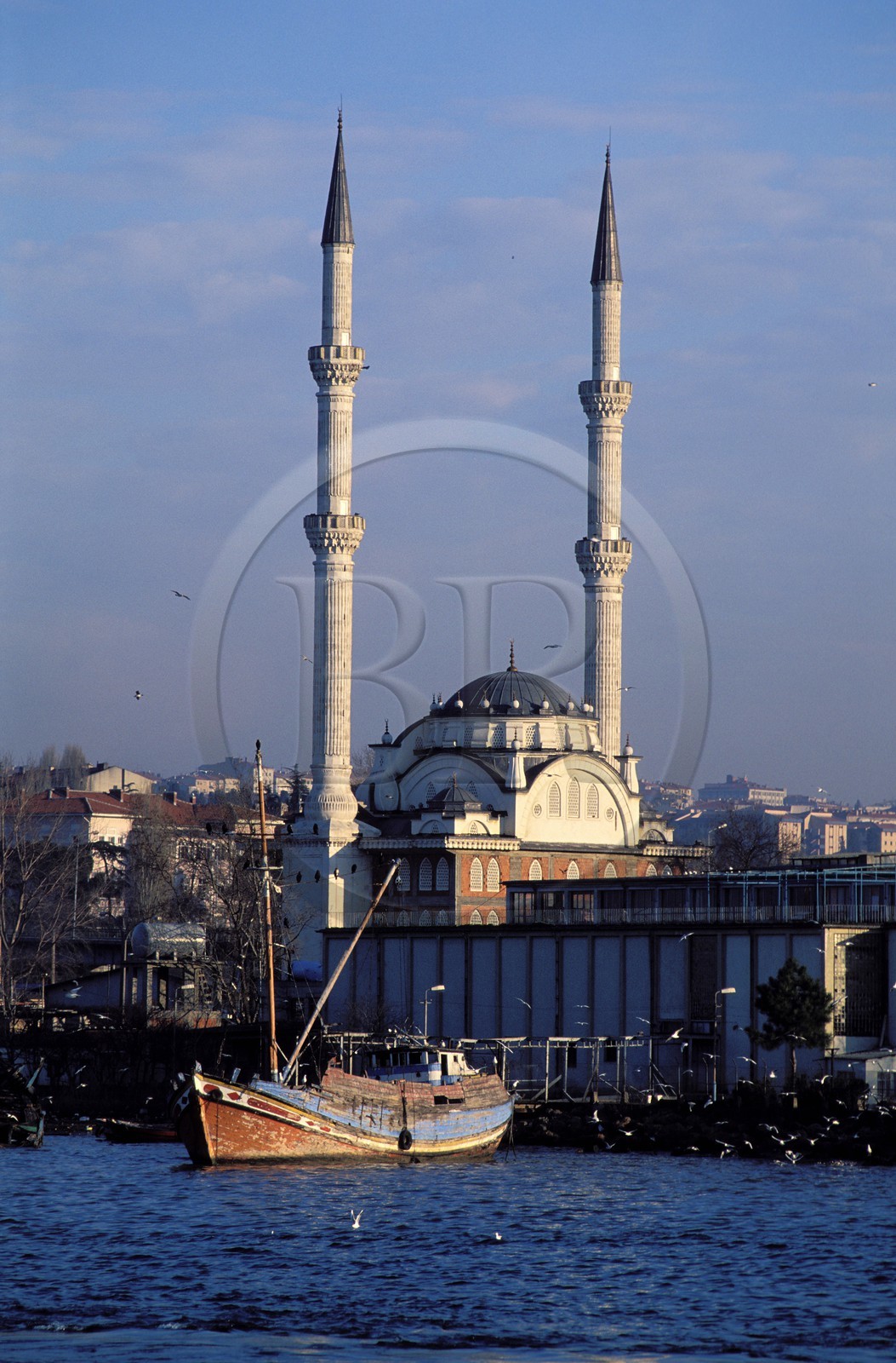 Turkey, Istanbul, Kadikoy mosque on the Bosporus