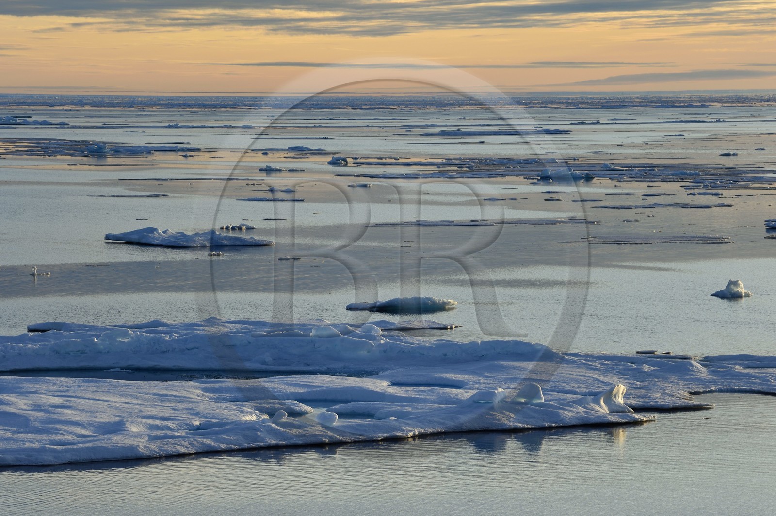 Greenland, North West coast, Smith sound, melting ice floe