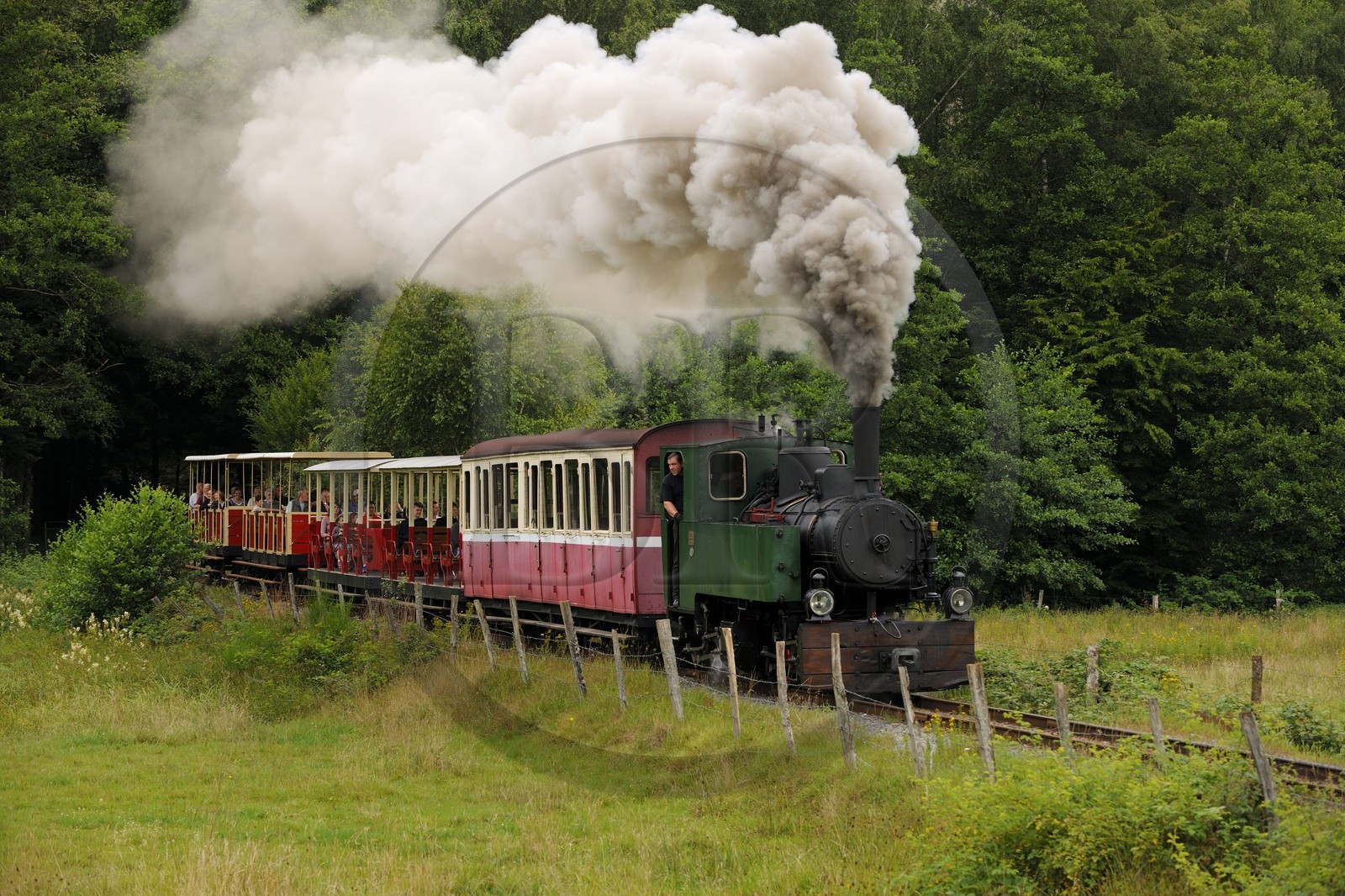 France, Moselle (57), Abreschviller, le petit train anciennement train forestier