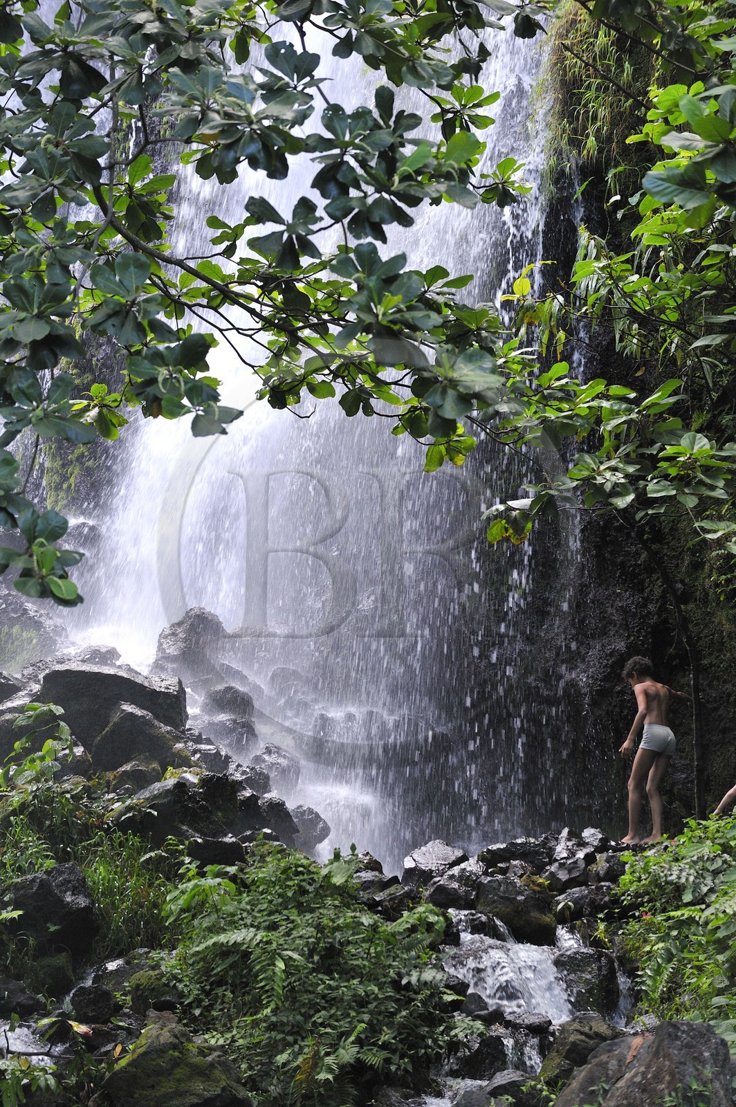 France, île de la Réunion, anse des Cascades, au sud de Piton-Sainte-Rose, classé Patrimoine Mondial de l'UNESCO