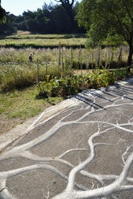 France, Var, Le Rayol Canadel sur Mer, Domaine du Rayol, Conservatoire du Littoral Estate compulsory mention, Jardin des Mediterranees designed by landscaper Gilles Clément, ephemeral Land art on the ground