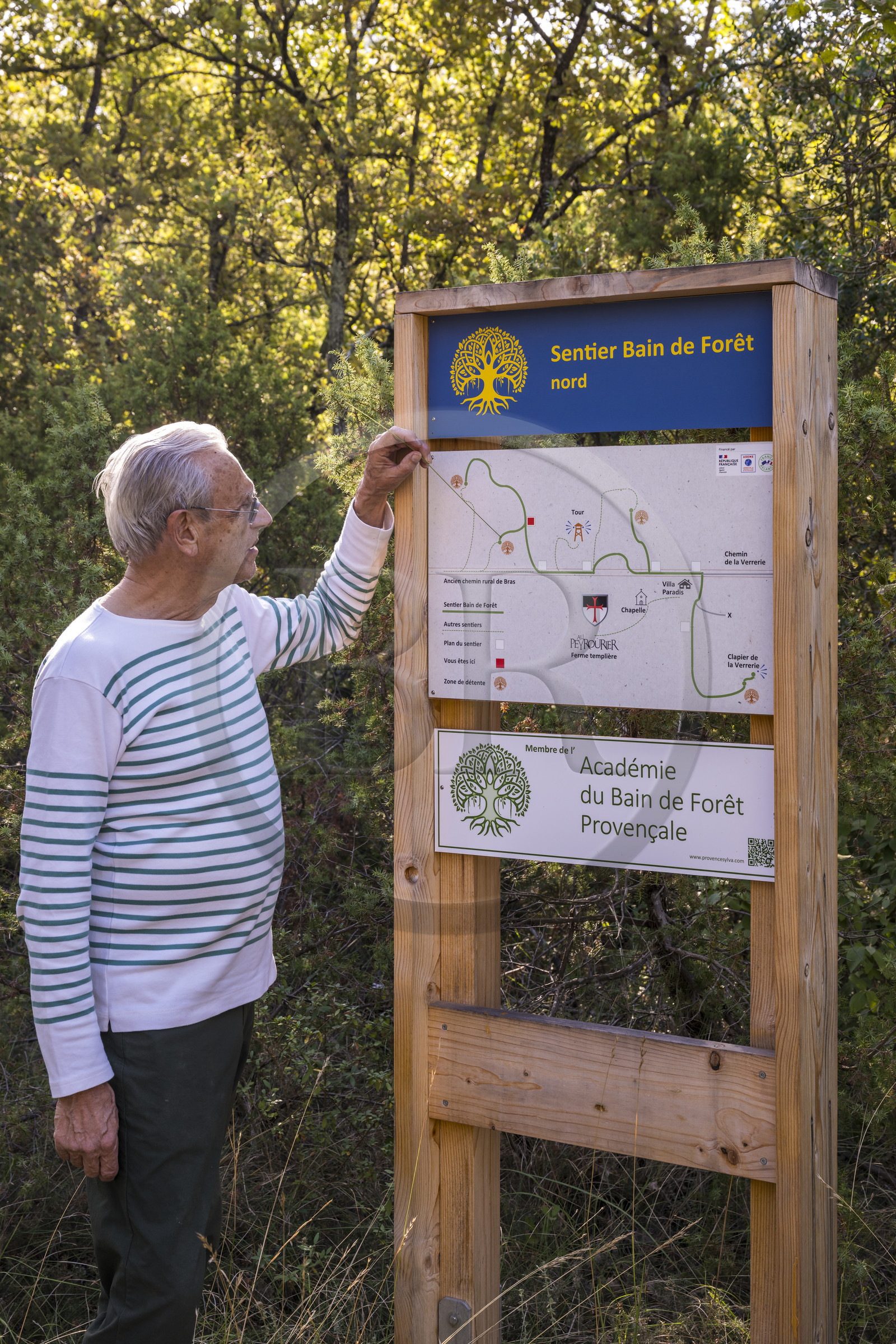 France, Var, Provence Verte (Green Provence), Bras, Academie du Bain de Foret Provencale (Academy of Forest Bathing in Provence), forest of the domaine Le Peyrourier - une campagne en Provence