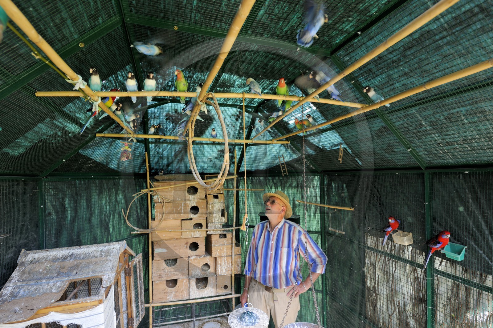 France, Aude (11), Saint-Martin-le-Vieil, ancienne abbaye cistercienne de Villelongue, la volière et le propriétaire M. Jean Eloffe