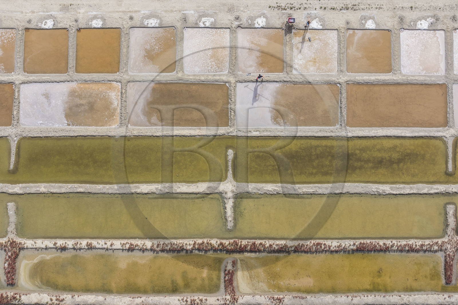 France, Charente-Maritime (17), Port-des-Barques, Ile Madame, la Ferme Aquacole de l'Ile Madame, Jean Philippe et Gaelle Mineau récoltent le sel de leur saline (vue aérienne)