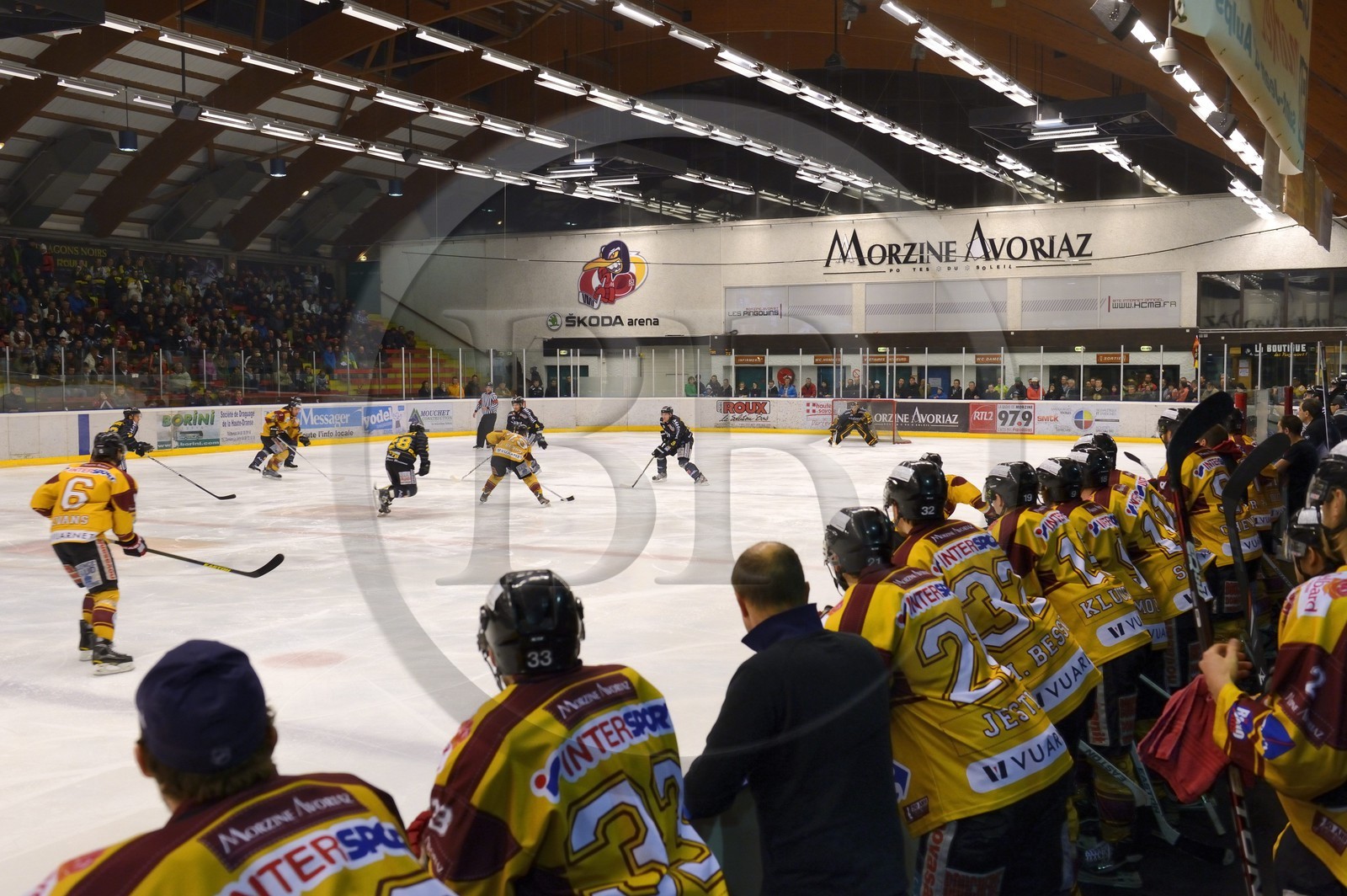 France, Haute Savoie, Morzine, ice hockey game from the Morzine-Avoriaz Hockey Club called the Penguins