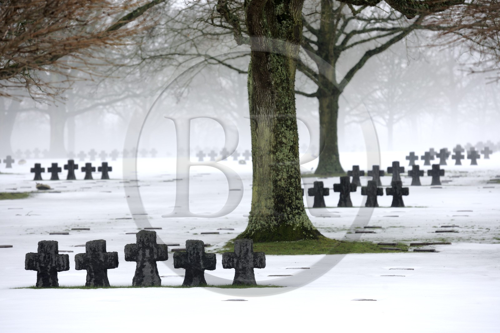 France, Calvados (14), La Cambe, Cimetière militaire allemand de la deuxième guerre mondiale
