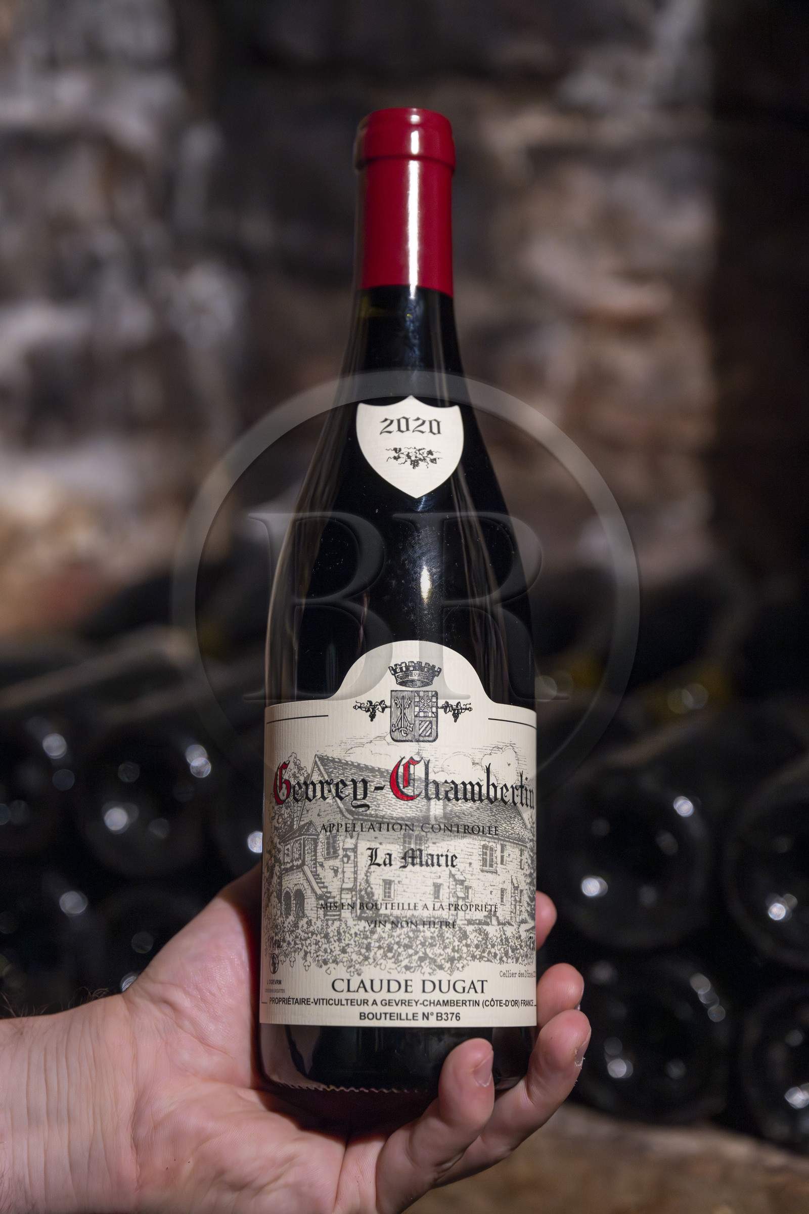 France, Cote d'Or, cultural Landscape of the climates of Burgundy listed as World Heritage by UNESCO, Route des Grands Crus (road of Vintage Wines), vineyard of the Côte de Nuits, Gevrey Chambertin, bottle of Domaine Dugat wine