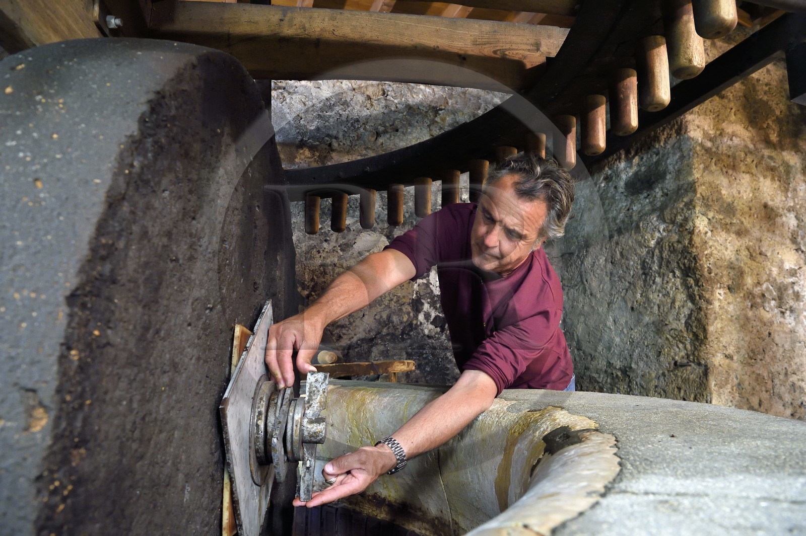 France, Var (83), La Dracénie, village de Tourtour, labellisé Les Plus Beaux Villages de France, le maitre moulinier Jean-Marc Simon devant le moulin oléicole communal