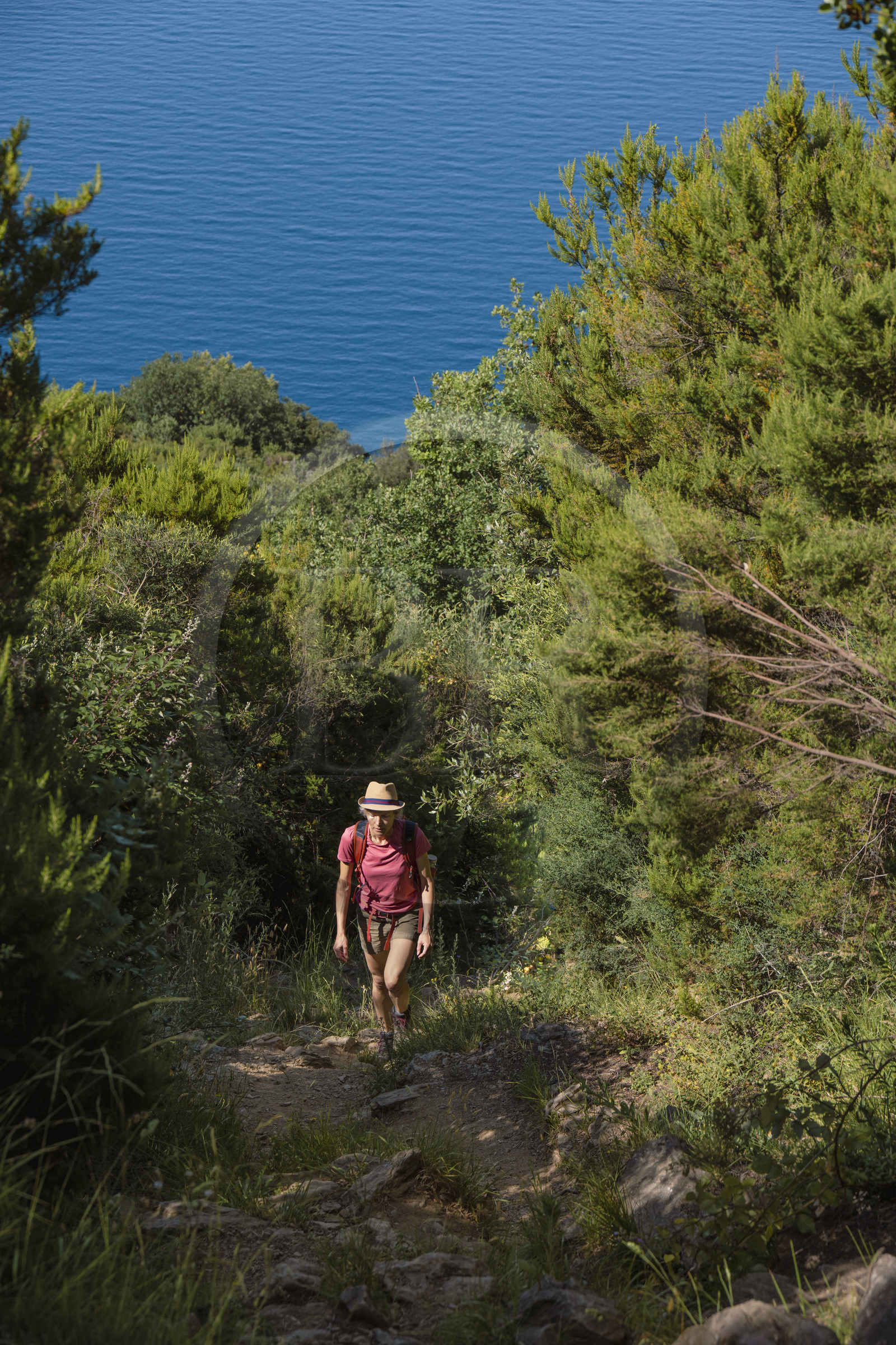 Italie, Ligurie, Cinque Terre, parc national des Cinque Terre classé Patrimoine Mondial de l'UNESCO, village de Monterosso al Mare, randonnée sur le sentier GR 582 entre le sanctuaire de Nostra Signora de Soviore et de Nostra Signora di Reggio sur les hauteurs de Vernazza