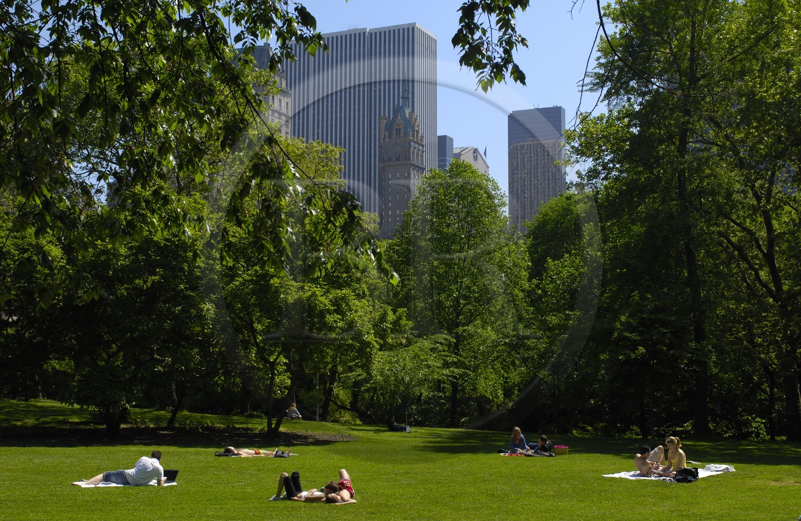 Etats-Unis, New York, Central park, farniente et sport le dimanche sur la pelouse The Sheep Meadow