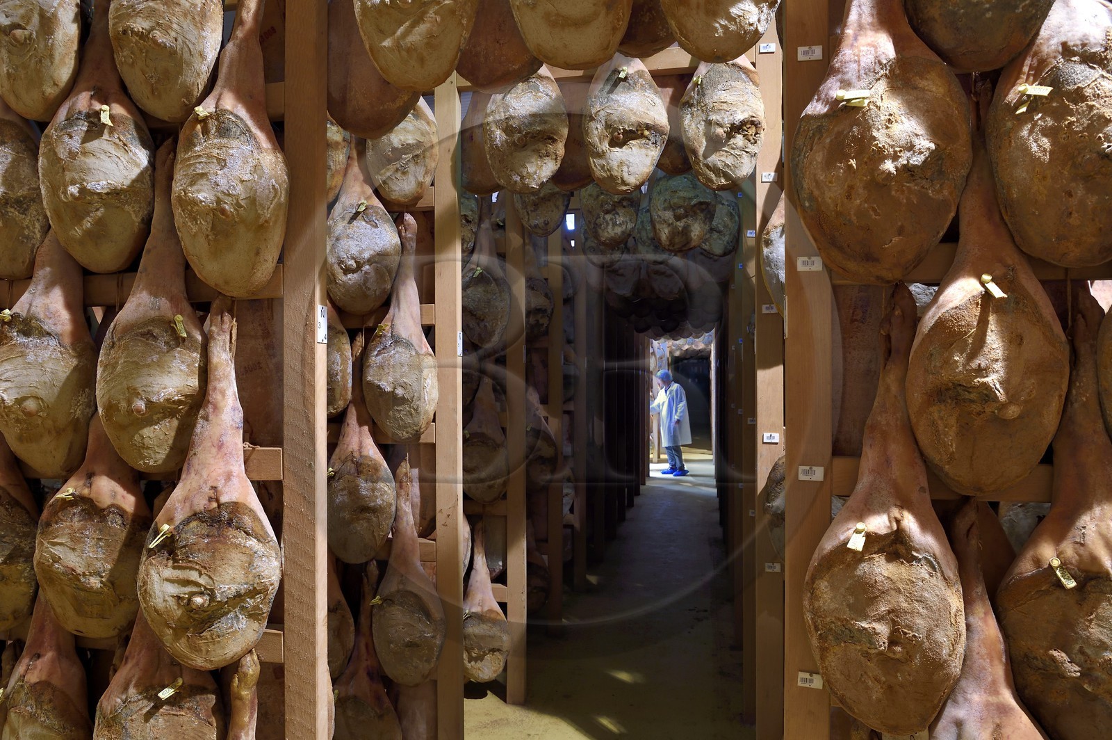 France, Pyrénées-Atlantiques (64), Pays-Basque, vallée des Aldudes, le Séchoir Collectif des Aldudes assure une prestation de séchage et l'affinage de jambons, zone de l'affinage
