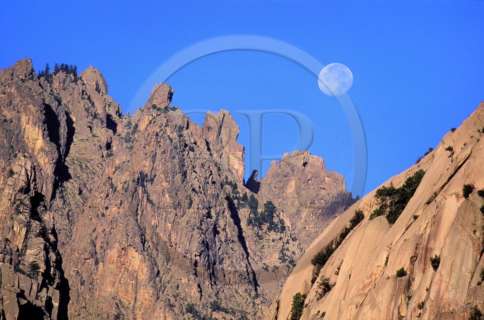 France, Corse-du-Sud (2A), Alta Rocca, les aiguilles de Bavella et pleine lune