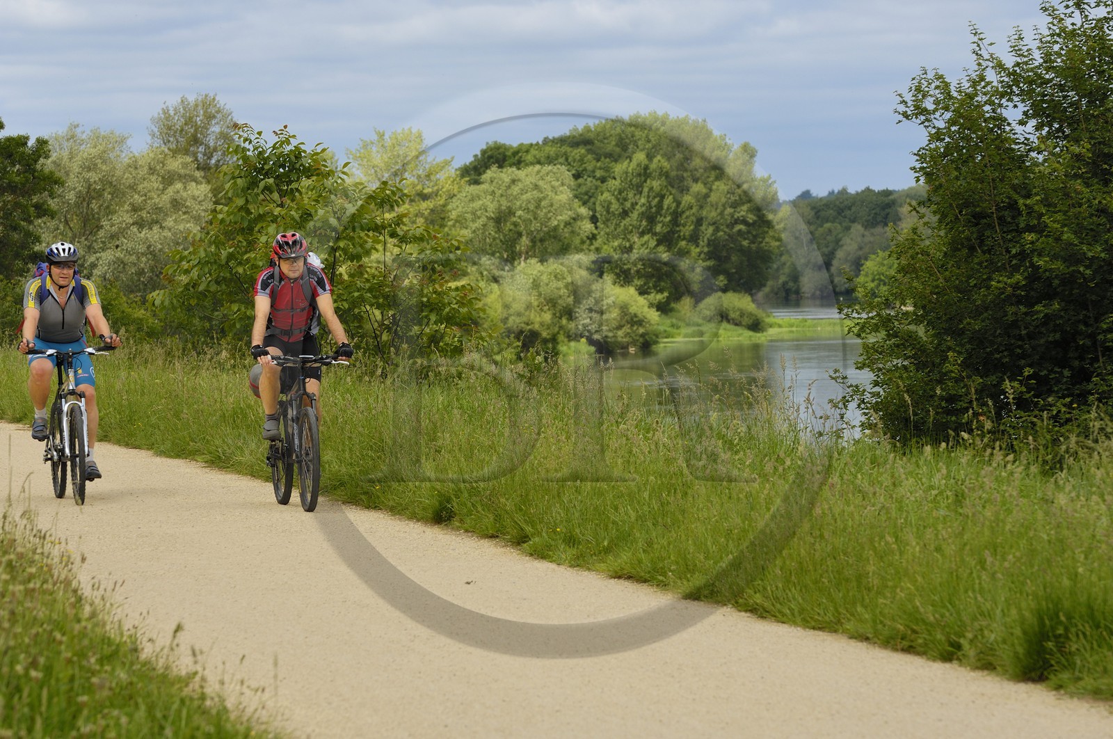 France, Indre et Loire (37), piste cyclable au bord du Cher entre Savonnières et Villandry