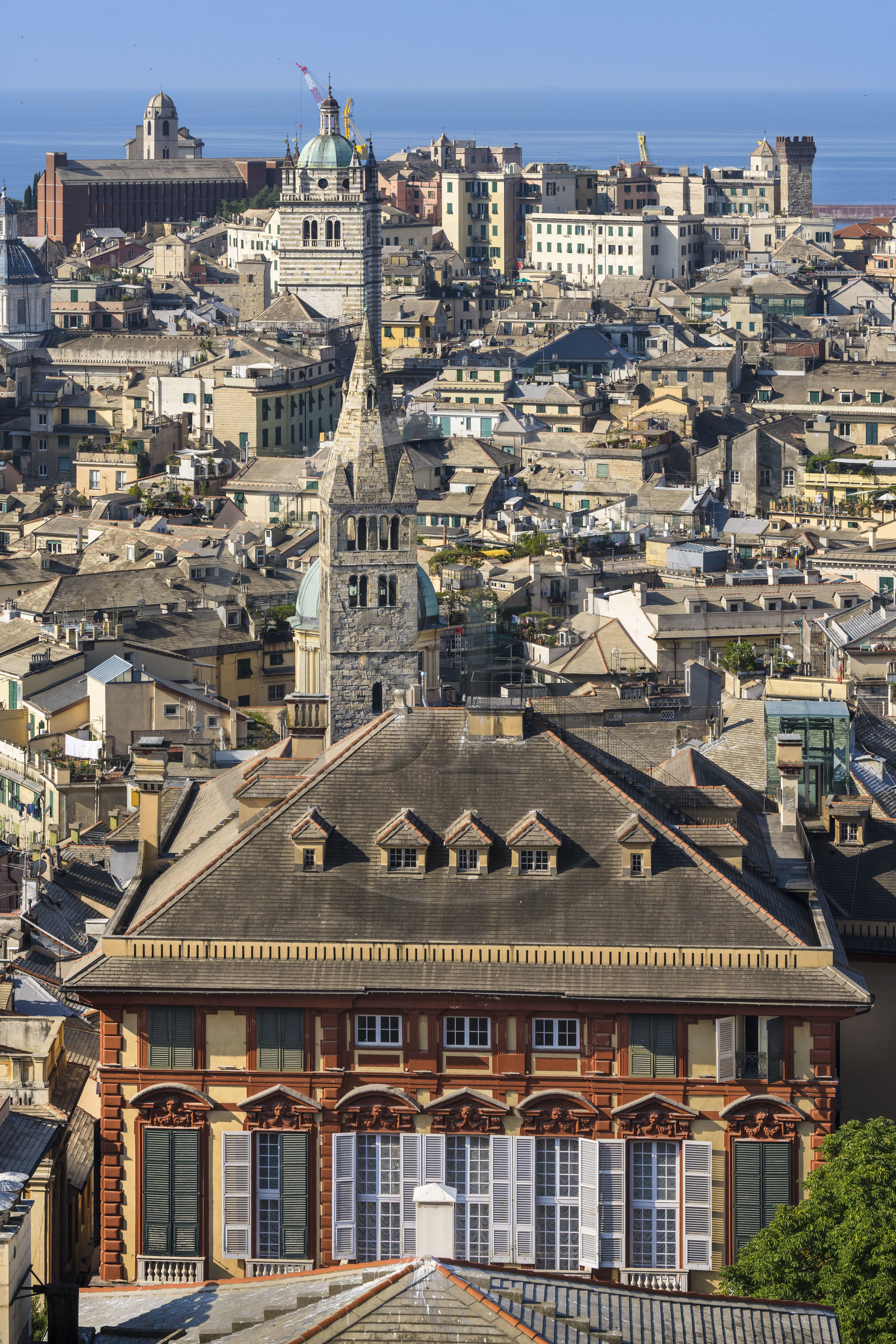 Italie, Ligurie, Gênes, le Palazzo Rosso ou palais musée Brignole qui est un des palais des Rolli classés Patrimoine Mondial de l'UNESCO dans la Strada Nuova aujourd’hui via Garibaldi, la Basilique Santa Maria delle Vigne et la cathédrale (Cattedrale di San Lorenzo) en arrière plan