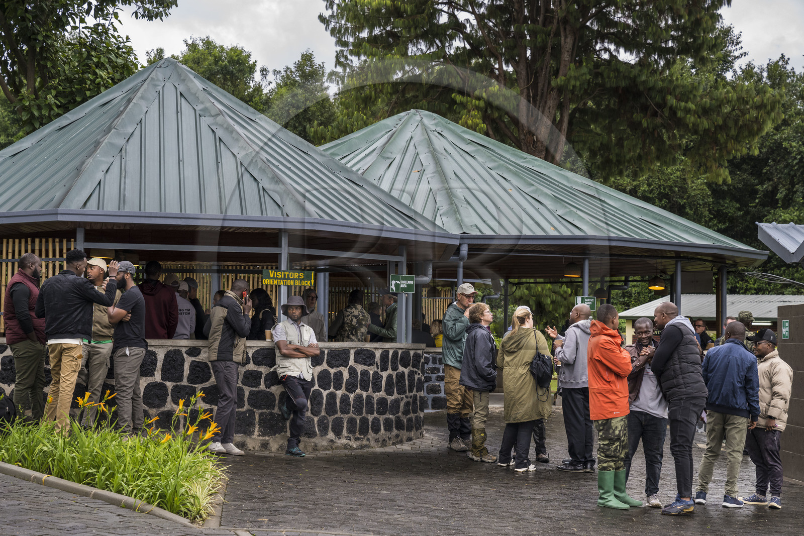 Rwanda, Northern Province, District de Musanze, Kinigi, Volcanoes National Park HQ