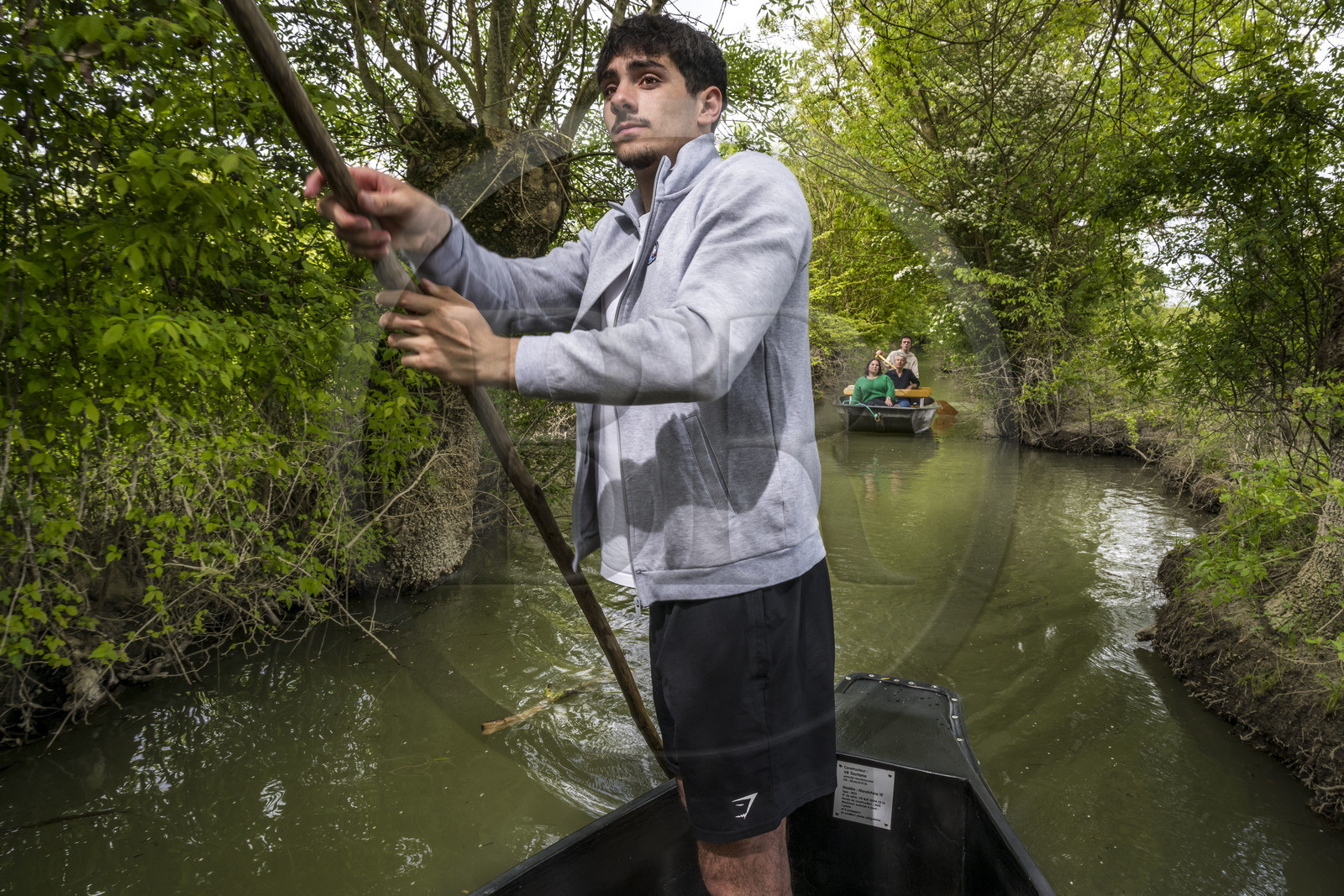 France, Vendée (85), Parc Interrégional du Marais Poitevin labellisé Grand Site de France, Maillezais, le batelier Mathis Babin armé de sa pigouille (perche en bois) pousse sa barque dans les conches sur les affluents de l'Autise
