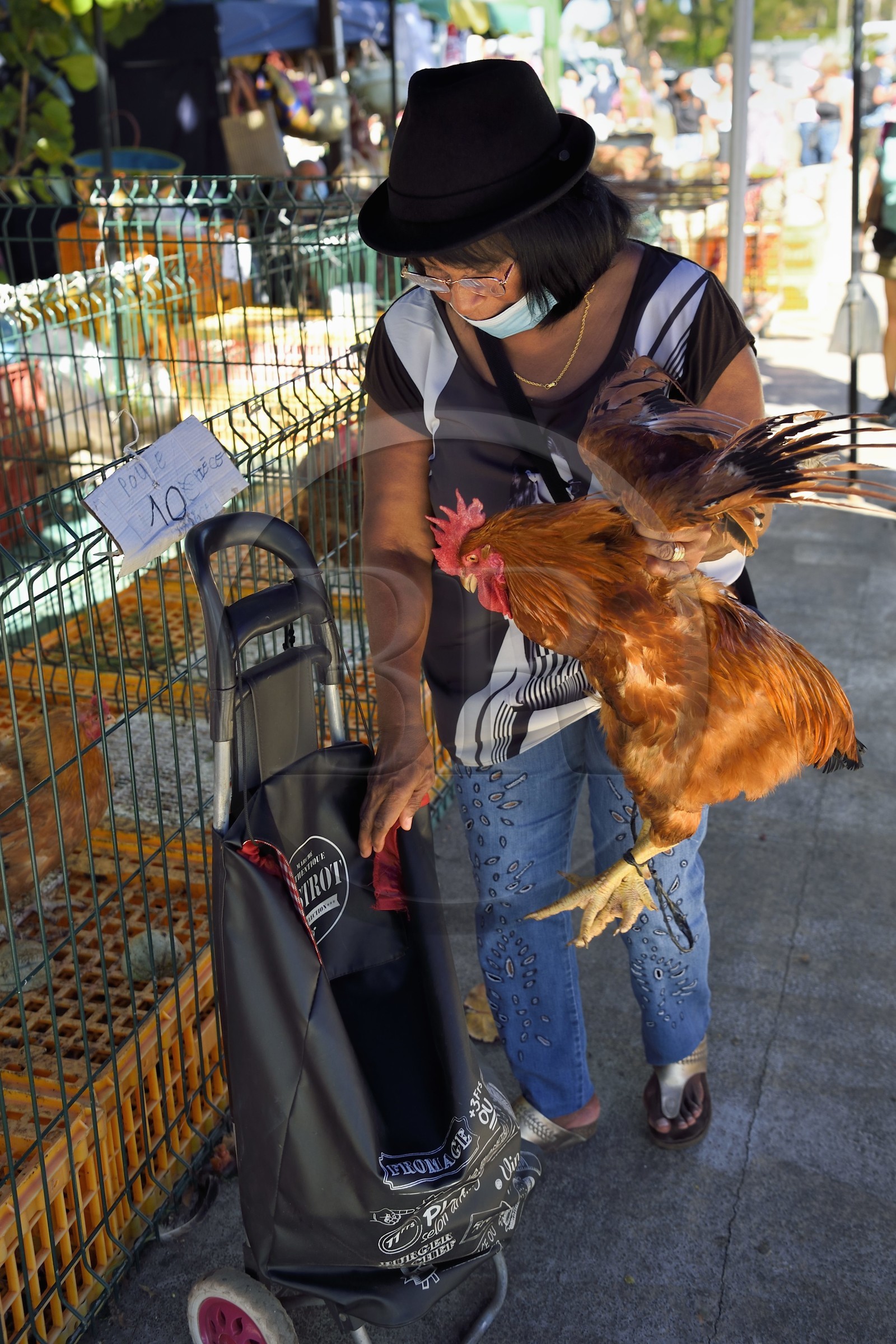 France, Ile de la Reunion, Saint-Pierre, le marché du samedi, les étals de volailles