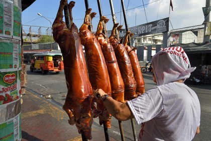 Philippines, Ile de Luzon, Manille, quartier La Loma, cochon de lait roti à la broche (lechon)
