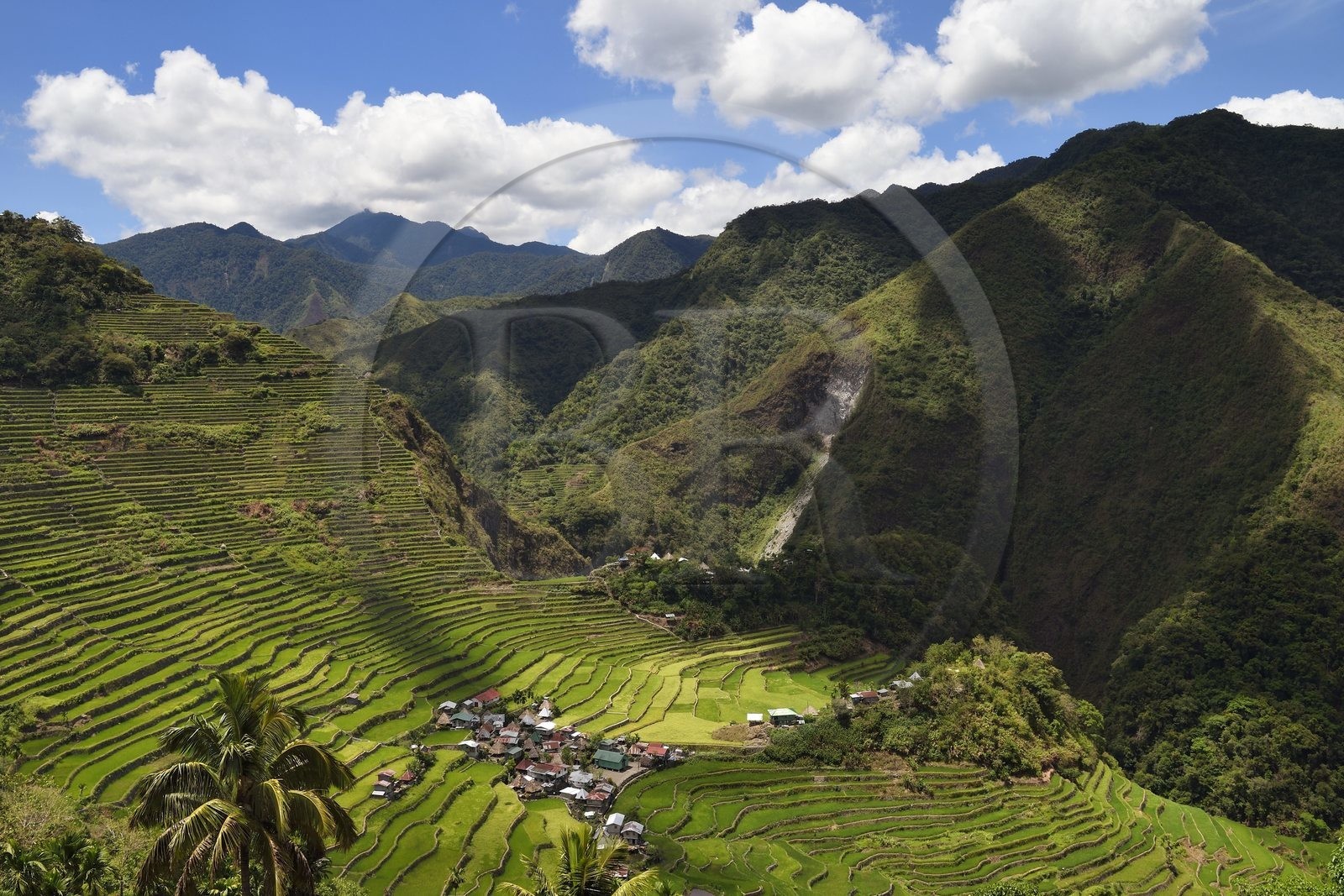Philippines, province d'Ifugao, les rizières en terrasses de Banaue autour du village de Batad, classées Patrimoine Mondial de l'UNESCO, alimentées par un ancien système d'irrigation depuis la forêt tropicale au-dessus des terrasses
