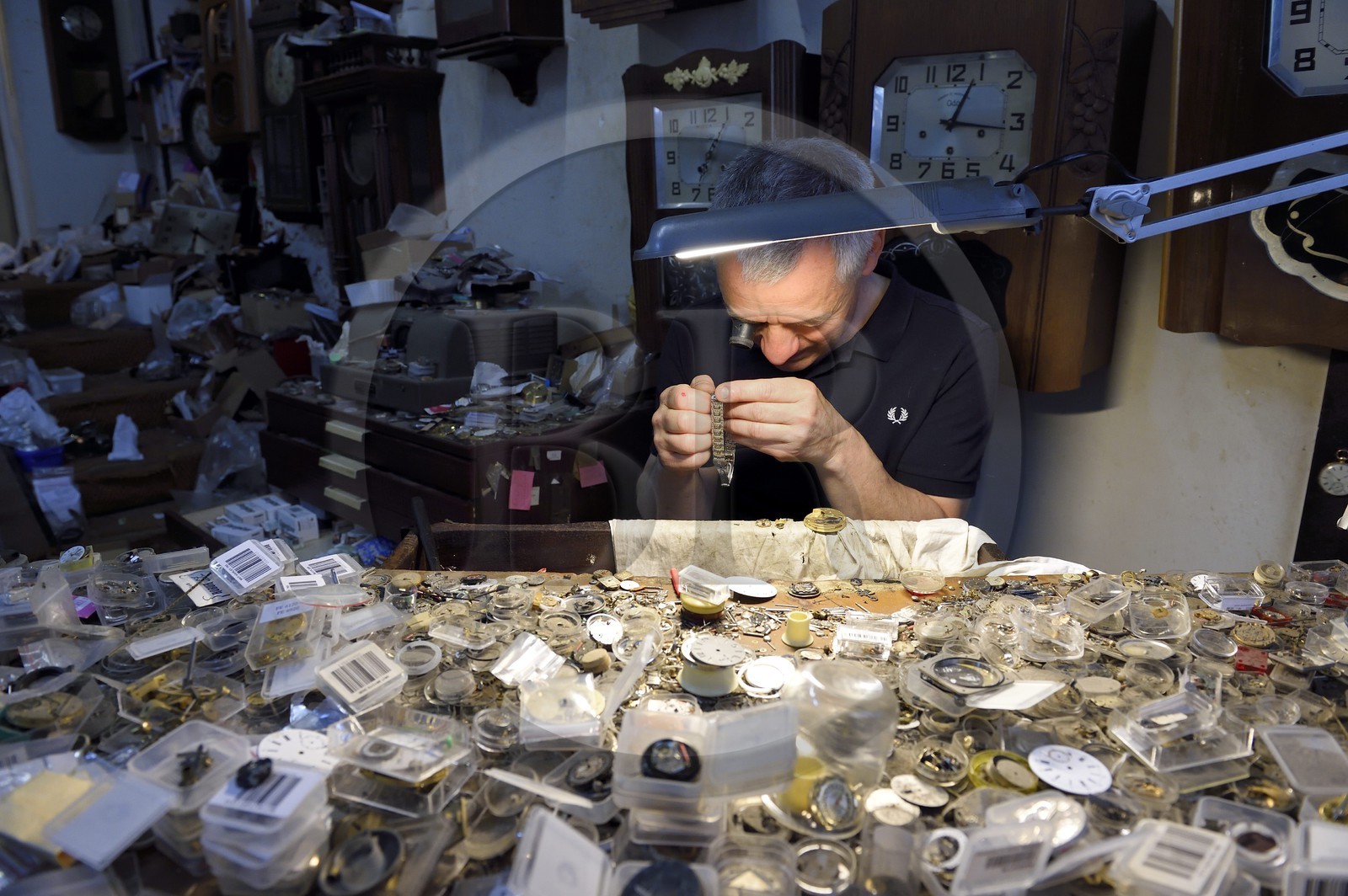 France, Dordogne (24), Périgord Blanc, Périgueux, l'horloger Vincent Pérez dans son atelier