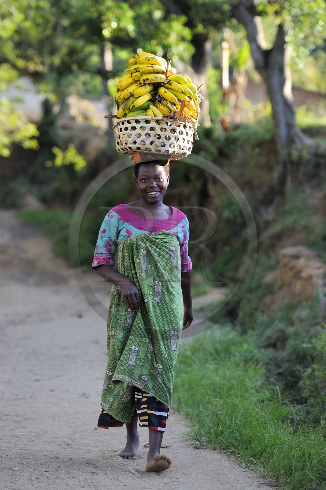 Tanzania, Morogoro district, Uluguru mountains, around the former german refuge called Morningside, woman carrying a basket of bananas on her head