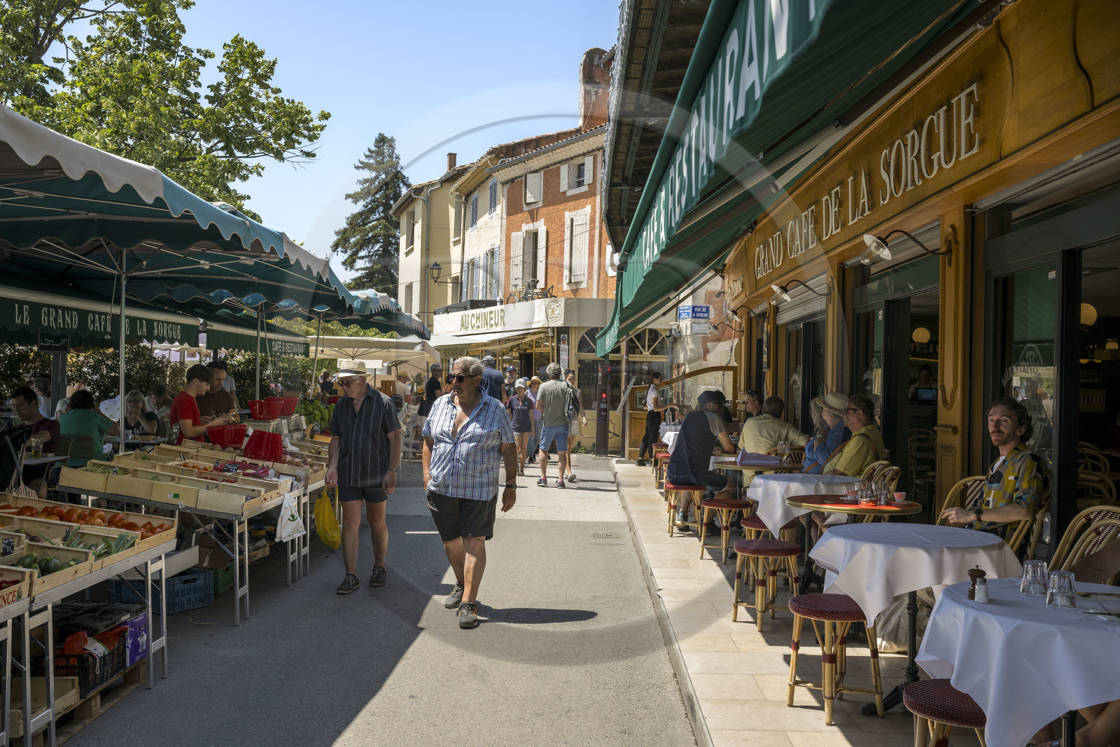 France, Vaucluse (84), L'Isle-sur-la-Sorgue, jour de marché, étal de fruits et légumes