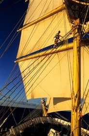 Caraïbes, le 5 mâts SPV Royal Clipper toutes voiles dehors, un marin grimpe dans les voiles