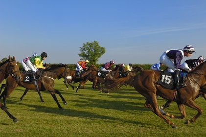 Irlande, Co. Meath, hippodrome de Fairyhouse, course de chevaux