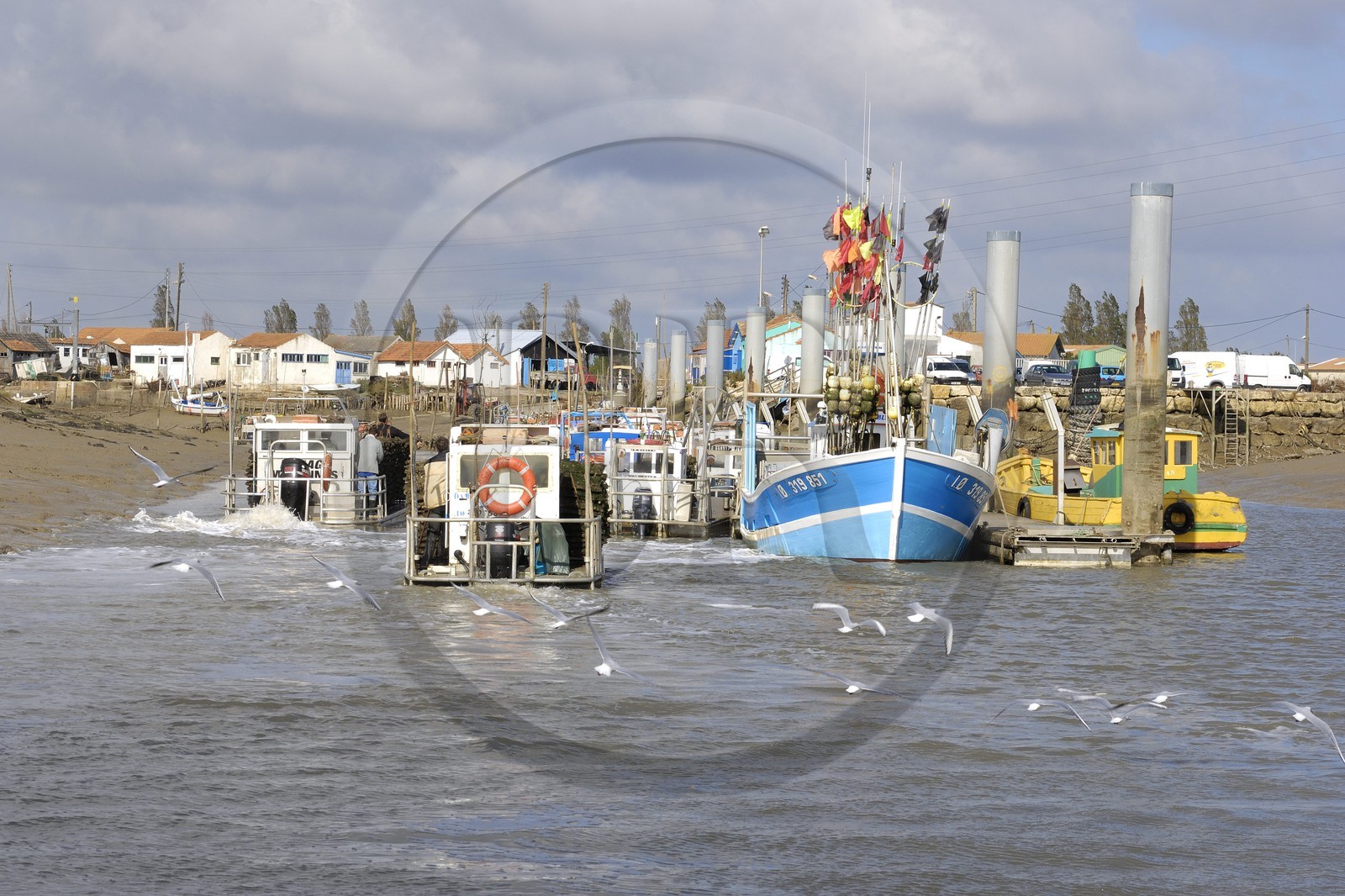 France, Charente-Maritime (17), Ile d'Oléron, le chenal d'Ors, port ostréicole