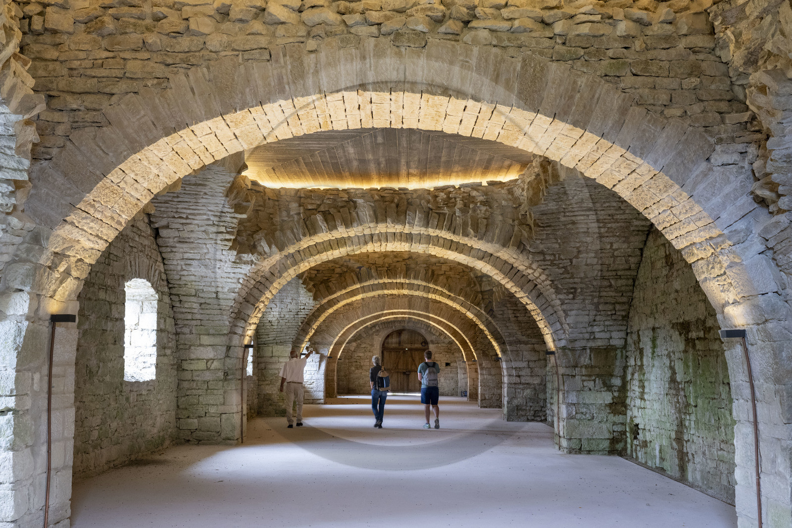 France, Cote d'Or, Curtil Vergy, ruins of the Saint-Vivant de Vergy abbey, the monks' cellar of the former Clunisian priory