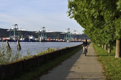 France, Seine-Maritime (76), Parc naturel régional des Boucles de la Seine normande, Hautot-sur-Seine, cycliste sur la veloroute face au Grand Port Maritime de Rouen