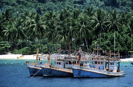 Thaïlande, Archipel de Ko Phi Phi, île de Phi Phi Don, le port de Ton Sai Bay
