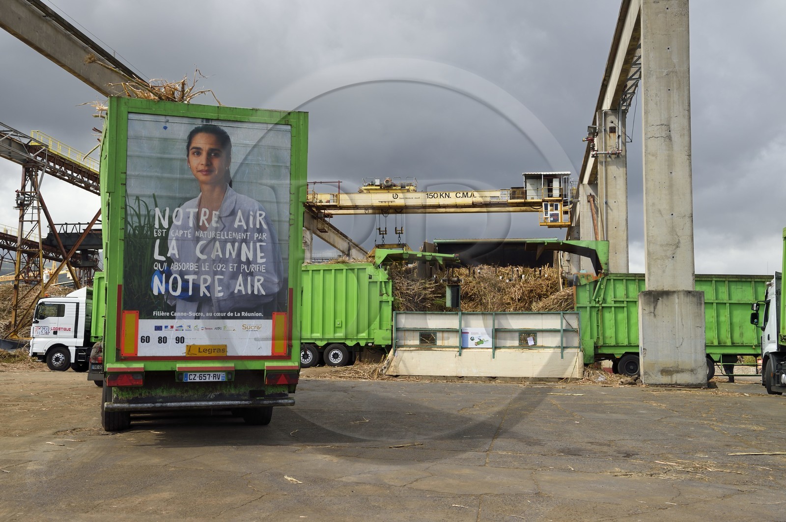 France, Ile de la Reunion, Saint-Louis, l'usine sucrière du Gol, déchargements de la canne à sucre des cachalots (camions ou remorques)