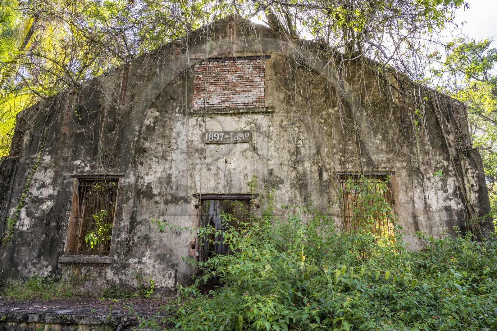 France, Guyane, Kourou, Iles du Salut, l'Ile Saint-Joseph, ruine du bagne consacré à la réclusion des prisonniers les plus difficiles