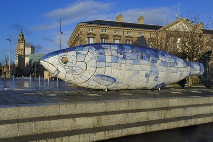 United Kingdom, Northern Ireland, Belfast, the waterfront on the Lagan riverside, The Big Fish by John Kindness on Donegall Quay and the Clock Tower