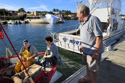 France, Var (83), Iles d'Hyères, parc national de Port Cros, Ile de Porquerolles, le quai des pêcheurs sur le port du village, le couple Martine et Jean Paul Costes sur leur bateau Le Boucanier triant la pêche du matin en compagnie de Sam le pêcheur