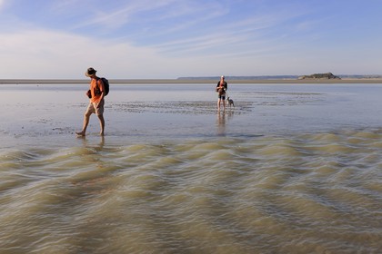 France, Manche (50), traversée à pied de la Baie du Mont-Saint-Michel et l'ile de Tombelaine