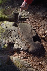 France, Bas Rhin, Mont Saint Odile, the Pagan Wall, vestige of a wall probably from the Merovingian period with a total length of eleven kilometers, construction in cyclopean device with blocks linked by wooden tenons
