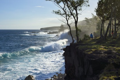 France, Reunion island (French overseas department), South coast, Sainte Philippe, the wild south coast at the Baril