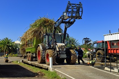 France, Reunion island (French overseas department), Saint-Pierre, Grands Bois, one of the 11 sugar cane reception and collection centers also called Balance, the tractors bring the cane from the fields in trailers, it is then weighed