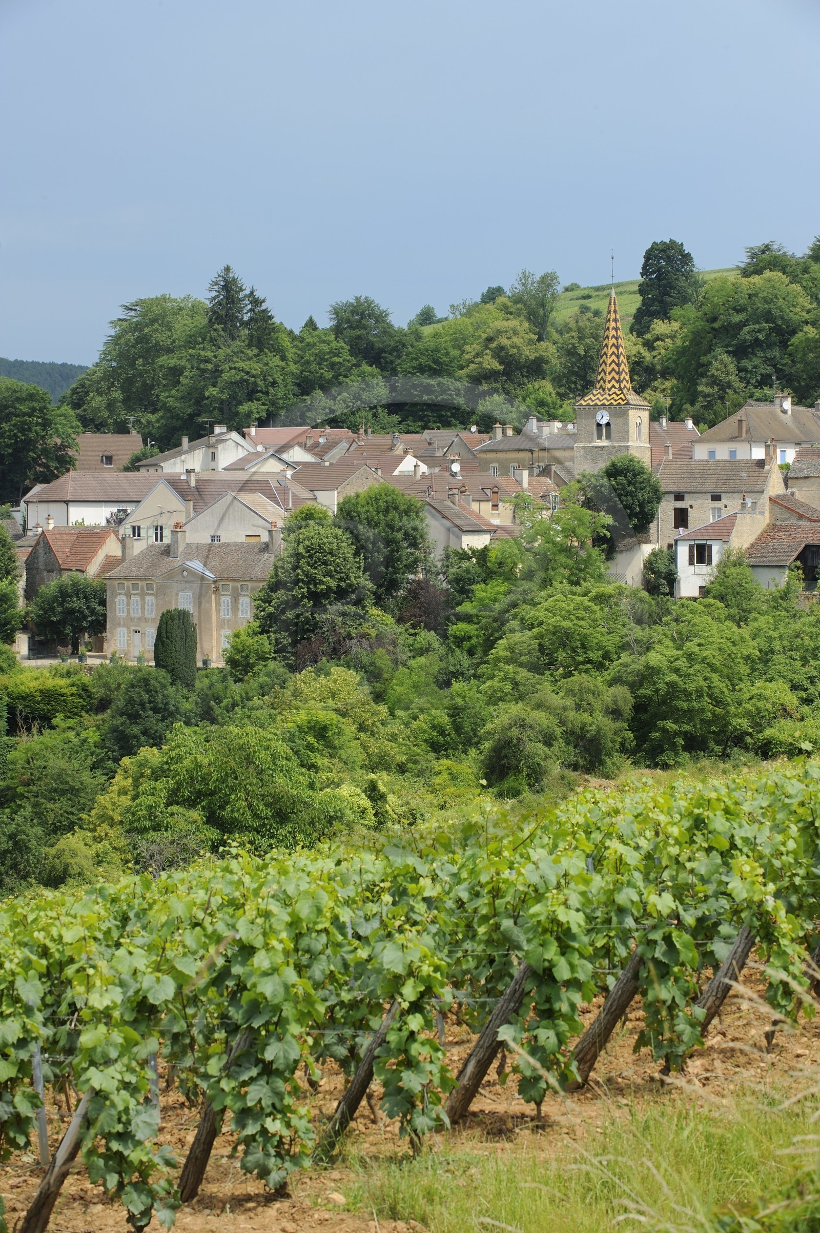 France, Côte d'Or (21), le village de Pernand-Vergeles