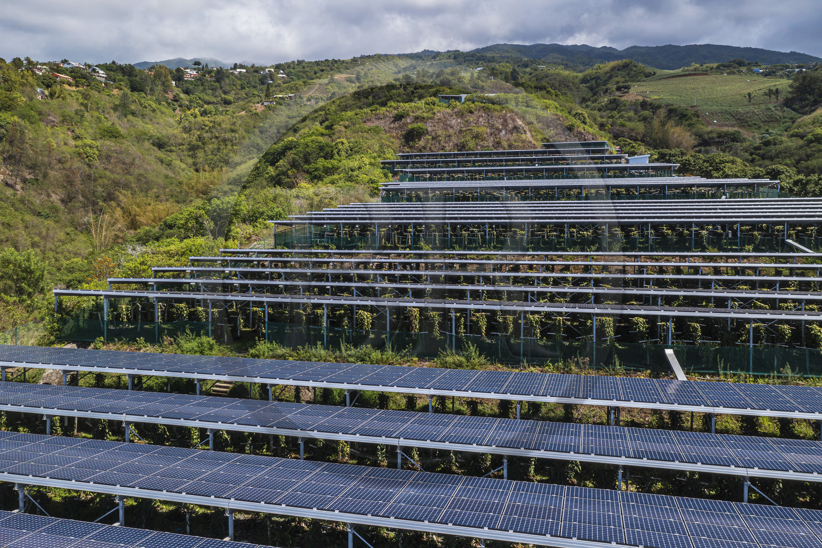 France, Ile de la Reunion, Saint-Louis, Domaine de Bellevue, producteur de vanille Planifolia biologique issues d'orchidées cultivées sous cinq hectares de panneaux photovoltaïques qui permettent d'alimenter plus de 1 800 foyers en électricité (vue aérienne)