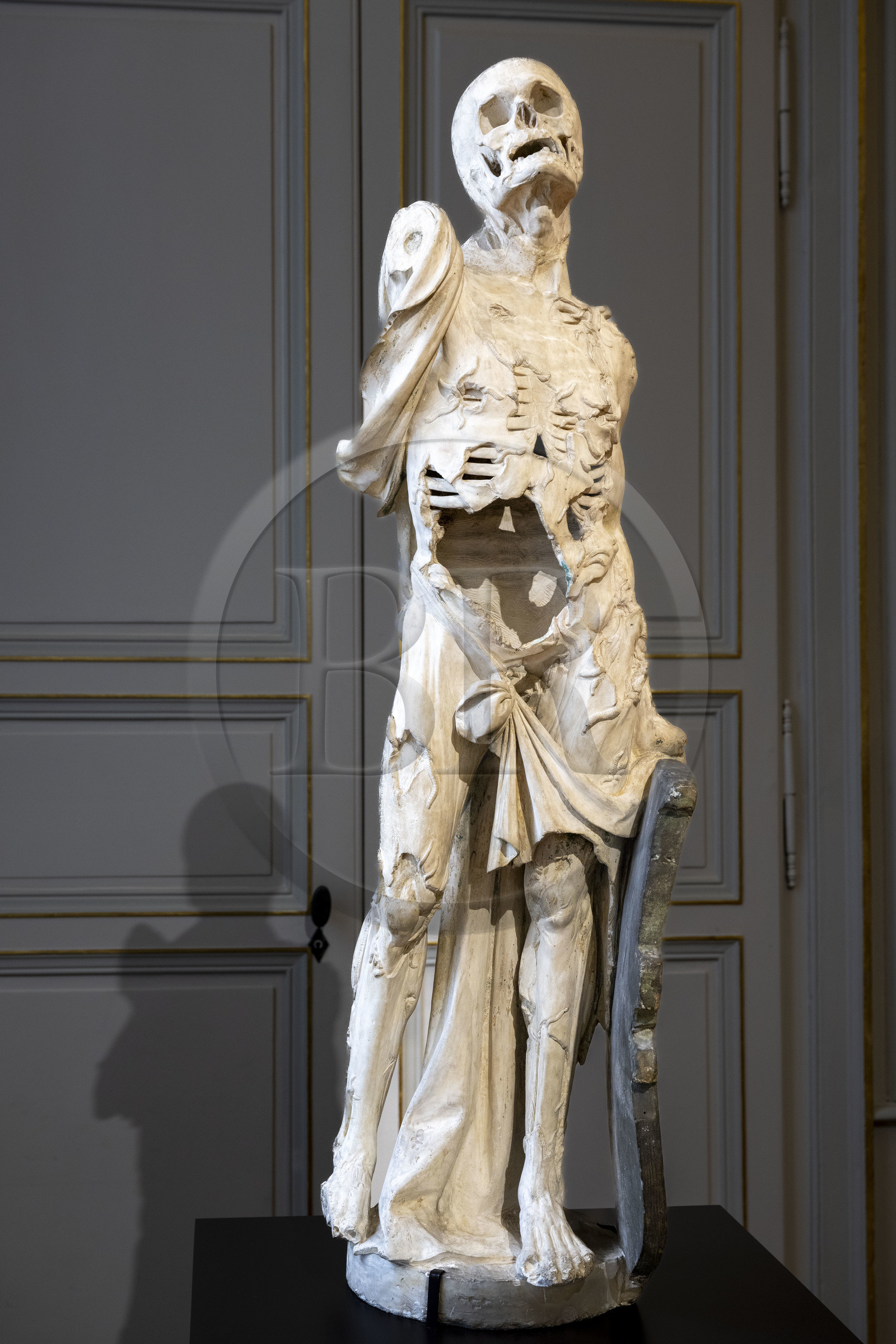 France, Côte-d'Or (21), Dijon, zone classée Patrimoine Mondial de l'UNESCO, Musée des Beaux-Arts dans l'ancien palais des ducs de Bourgogne, La Mort, France XVIe siècle, proviendrait du charnier de l'abbaye de Clairvaux dans l'Aube