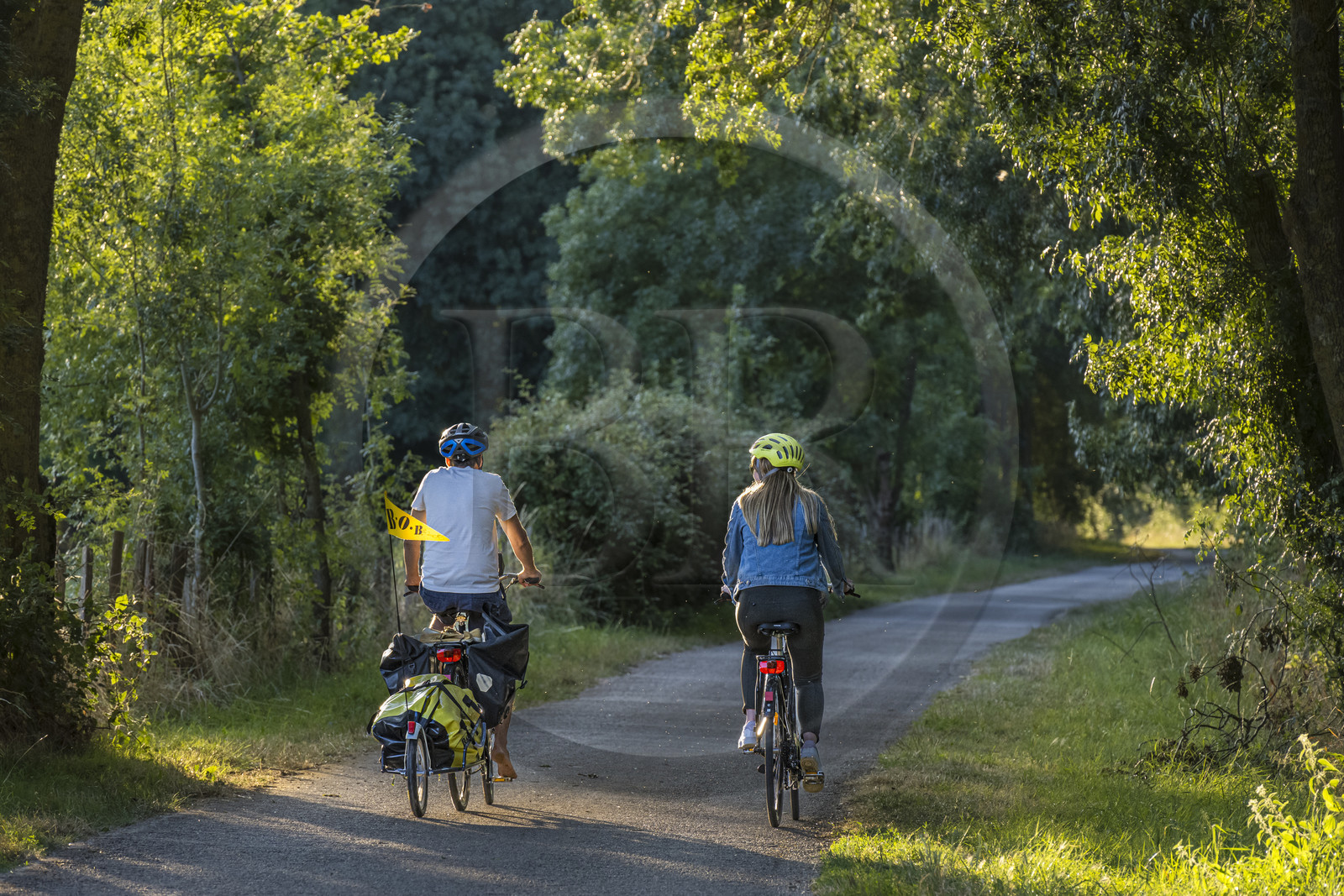 France, Maine-et-Loire (49), vallée de la Loire classée au Patrimoine Mondial par l'UNESCO, Saumur vers Saint-Hilaire, randonnée à bicyclette le long des berges de la Loire sur la piste cyclable La Loire à Vélo, vélo avec une remorque transportant le matériel de camping