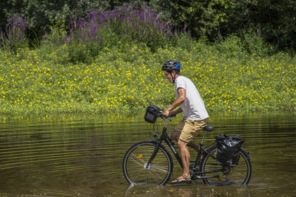 France, Maine-et-Loire, Loire valley listed as World Heritage by UNESCO, Dampierre to the east of Saumur, cycling along the banks of the Loire
