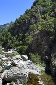 France, Alpes-Maritimes (06), vallée de la Roya, les gorges de Paganin entre Saorge et Tende, la rivière de La Roya