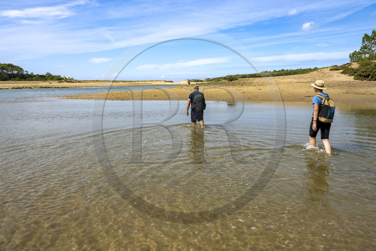 France, Vendée (85), Talmont-Saint-Hilaire, la Pointe du Payré, traversée de l'embouchure du Payré à marée basse par des randonneurs