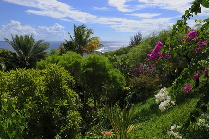 France, Ile de la Reunion, Petite Ile, jardin tropical