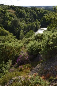 France, Morbihan (56), forêt de Brocéliande, Tréhorenteuc, la Mare aux Fées du Val sans Retour où selon la légende la Fée Morgane retenait ses amants infidèles