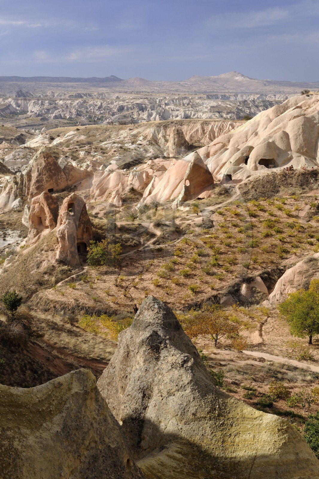 Turquie, Anatolie Centrale, province de Nevsehir, Cappadoce classée Patrimoine Mondial de l'UNESCO, vallon de Kizil Çukur (vallée Rouge) et vignes sur le versant occidental du massif de l'Ak Tepe vers Çavusin